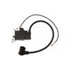 3800 38CC Chinese Chainsaw Ignition Coil