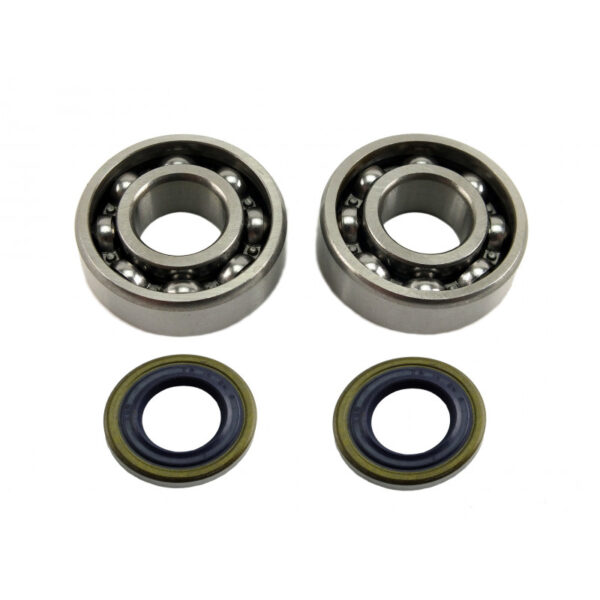 150110 HUSQVARNA 61 266 268 272 Crankshaft Bearing & Oil Seal - Pair