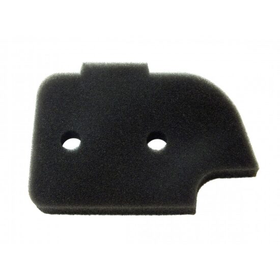 BLUE BIRD P41 P59 Air Filter